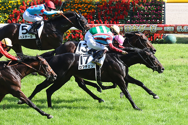 2026年 日本ダービー JRA