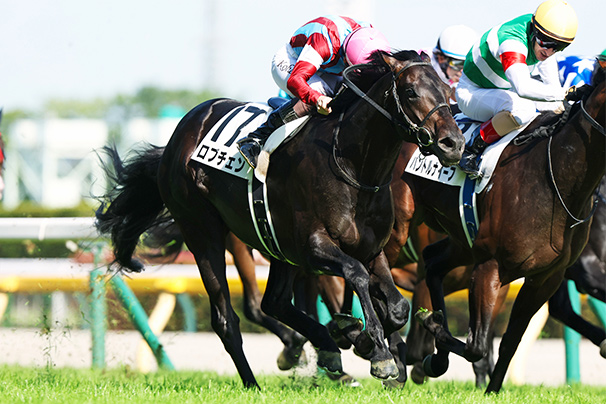 2026年 日本ダービー JRA