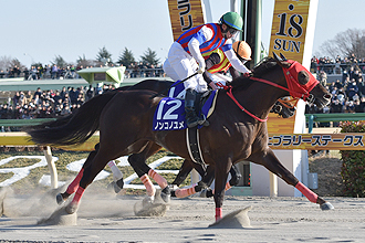 ステークス 競馬 フェブラリー 競馬