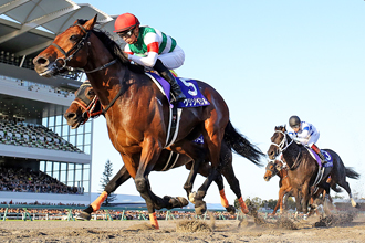 2019年 チャンピオンズカップ JRA