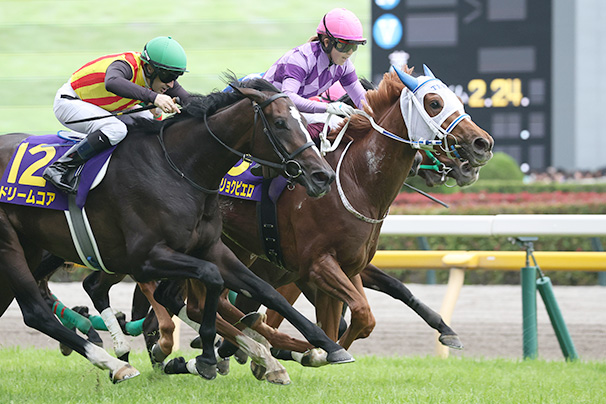 2026年 オークス JRA