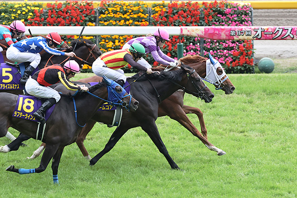 2026年 オークス JRA