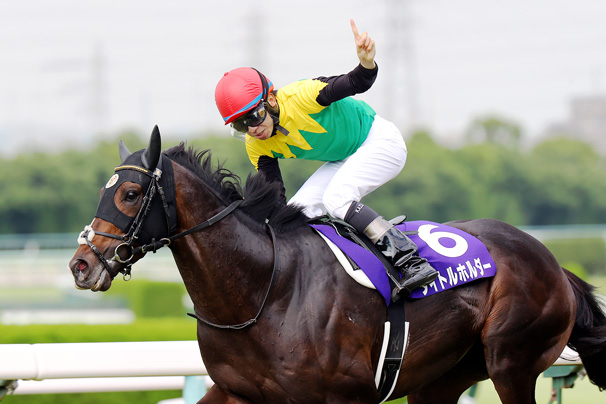 98%OFF!】 競馬 宝塚記念 GⅠ レースファンファーレ JRA