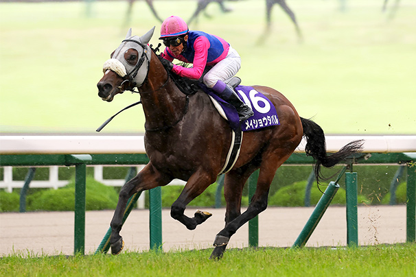 2026年 宝塚記念 JRA