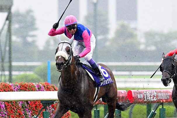 競馬　ソメイヨシノ　42回宝塚記念　約70cm 2026年 宝塚記念 JRA