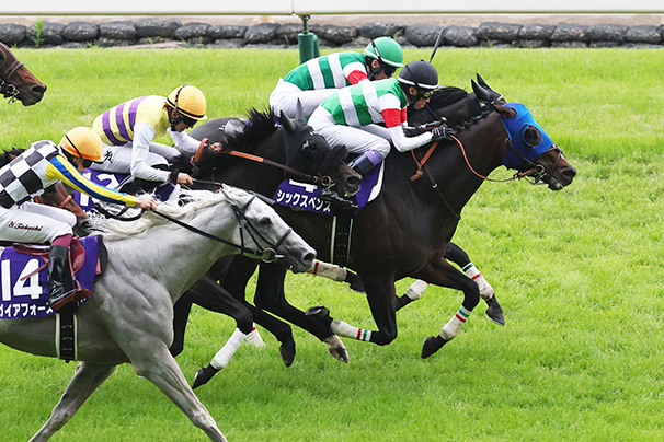 2026年 安田記念 JRA