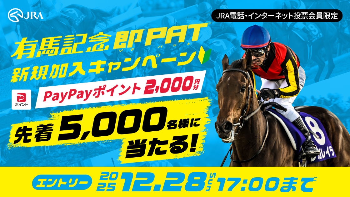 �L�n�L�O��PAT�V�K�����L�����y�[��