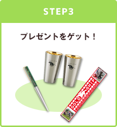Step3 プレゼントをゲット！