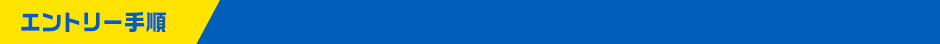 �G���g���[�菇