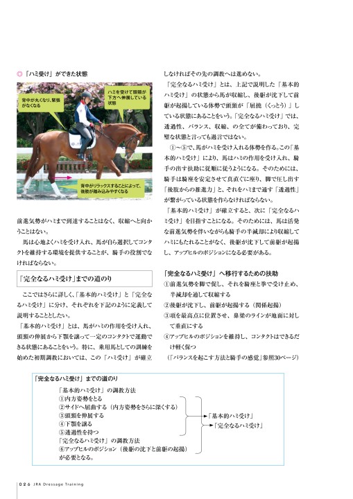 超希少 痛み瞬間消去の極意 馬場流 想念波動療法 解説教書 馬場美人