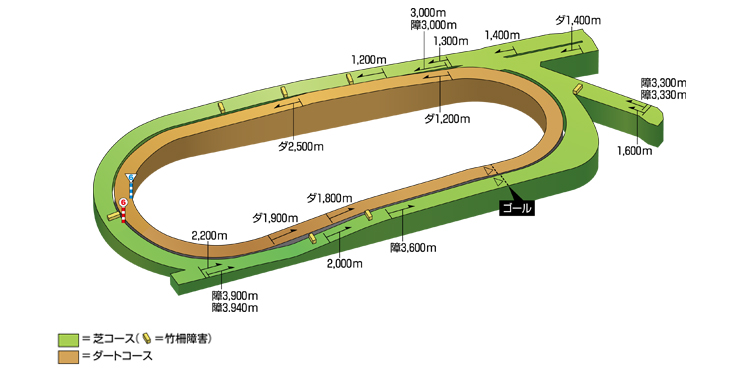 中京 競馬 場 2020