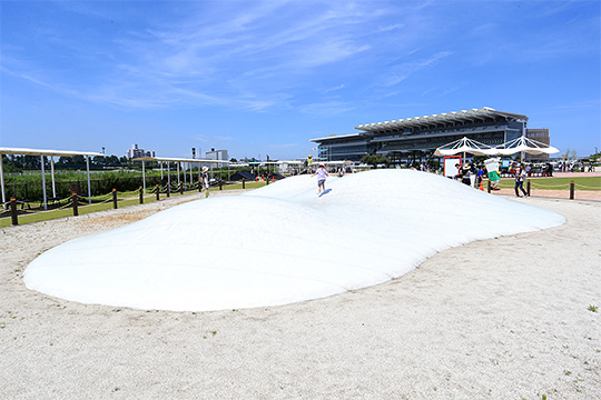 主な施設 中京競馬場 Jra