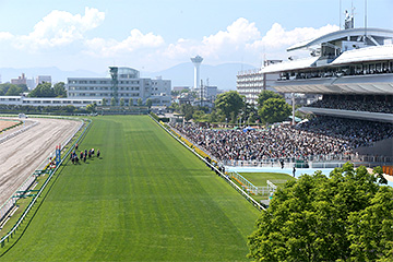 函館競馬場 芝コース 直線