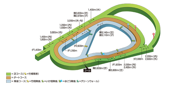 競馬 コース 阪神 場