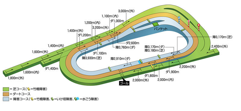 京都競馬場 ダート 砂 ボトル 競馬 JRA 競馬場