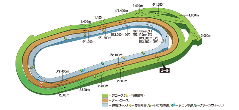 コース紹介：東京競馬場 JRA