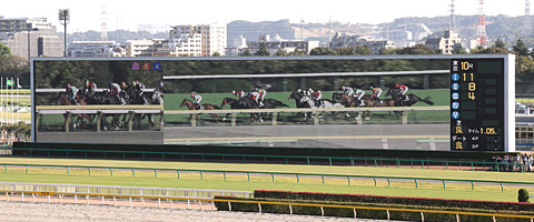 主な施設 東京競馬場 Jra