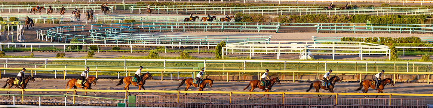 �����n�̒����̃C���[�W