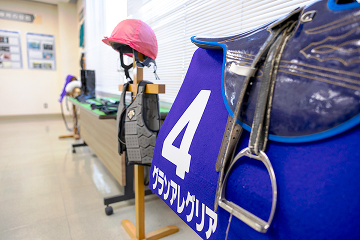 �W���i�̉摜