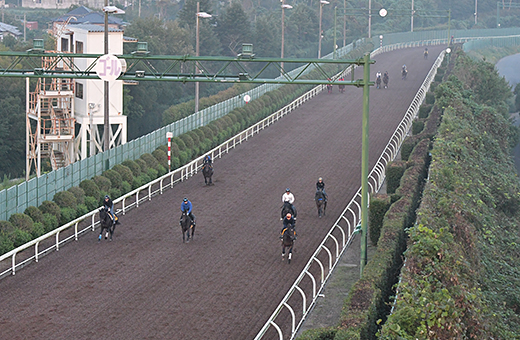 施設ガイド:美浦トレーニング・センター JRA