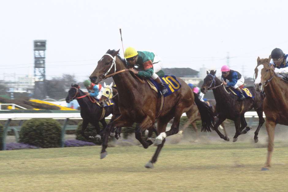 シンボリルドルフ|3分でわかった気になる名馬 JRA シンボリルドルフ|3分でわかった気になる名馬 JRA