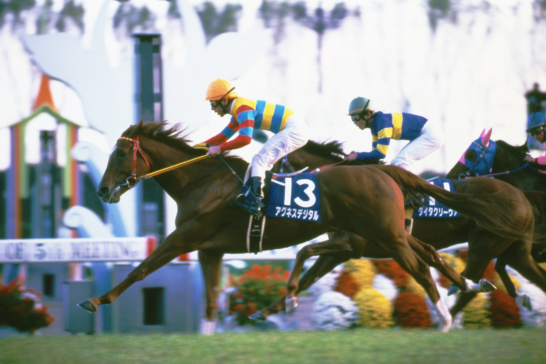 アグネスデジタル｜3分でわかった気になる名馬 JRA