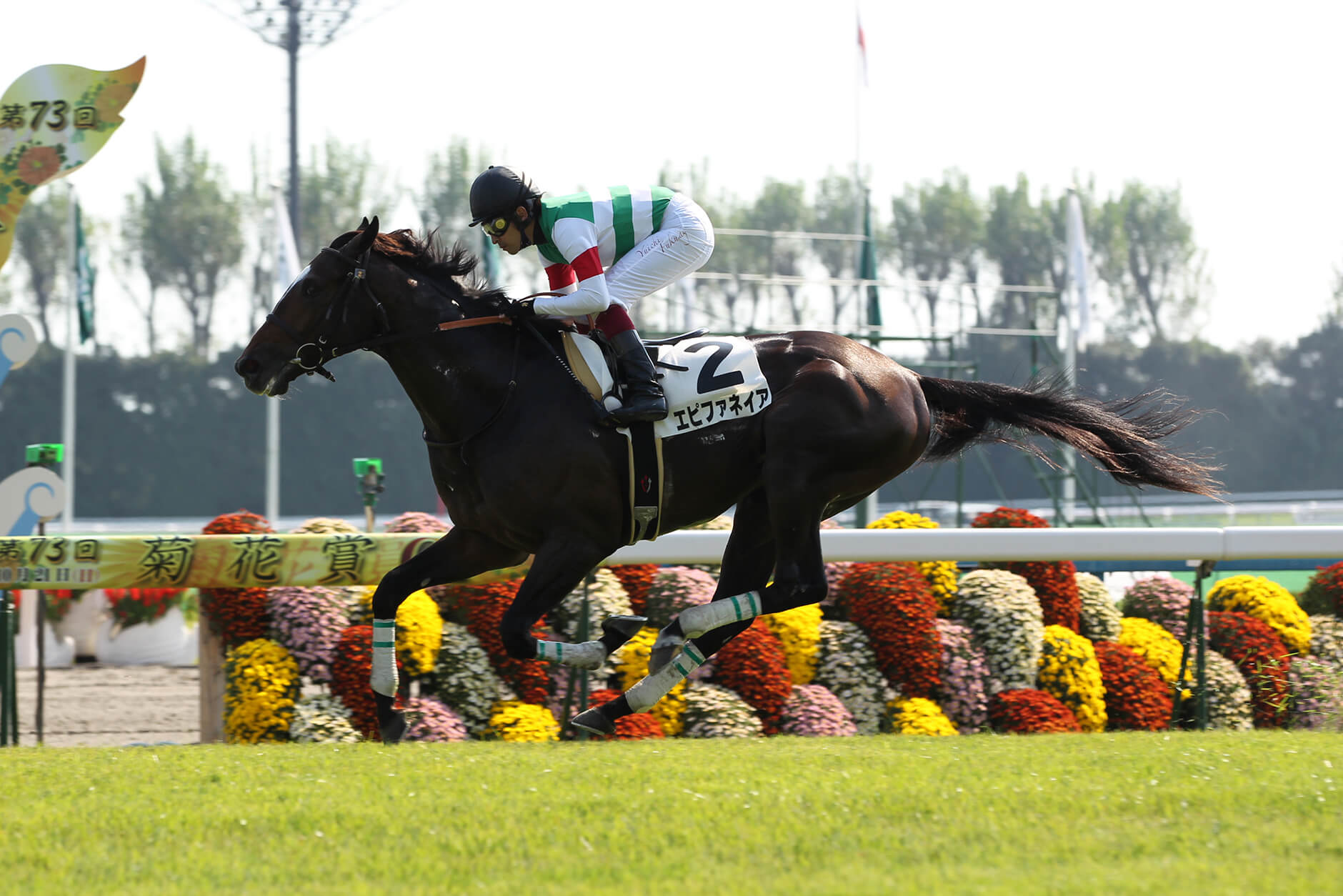 エピファネイア|3分でわかった気になる名馬 JRA