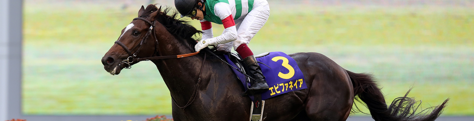 エピファネイア|3分でわかった気になる名馬 JRA