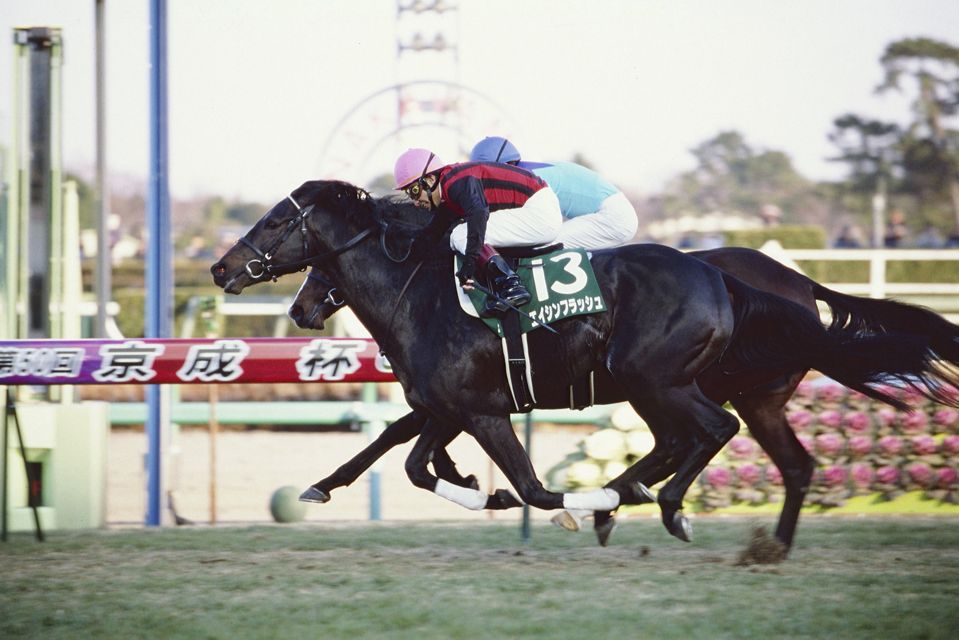 エイシンフラッシュ|3分でわかった気になる名馬 JRA