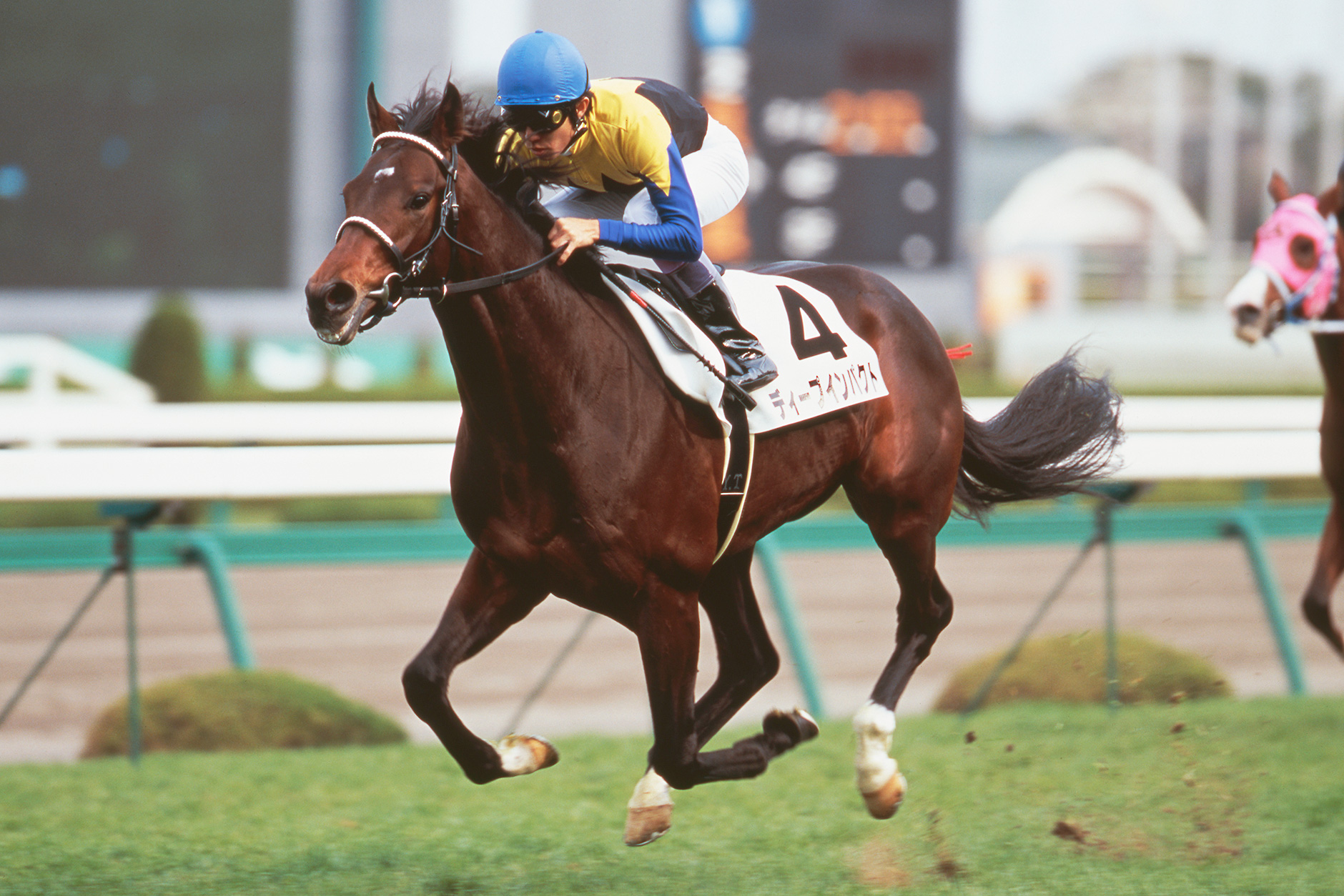 ディープインパクト｜3分でわかった気になる名馬 JRA