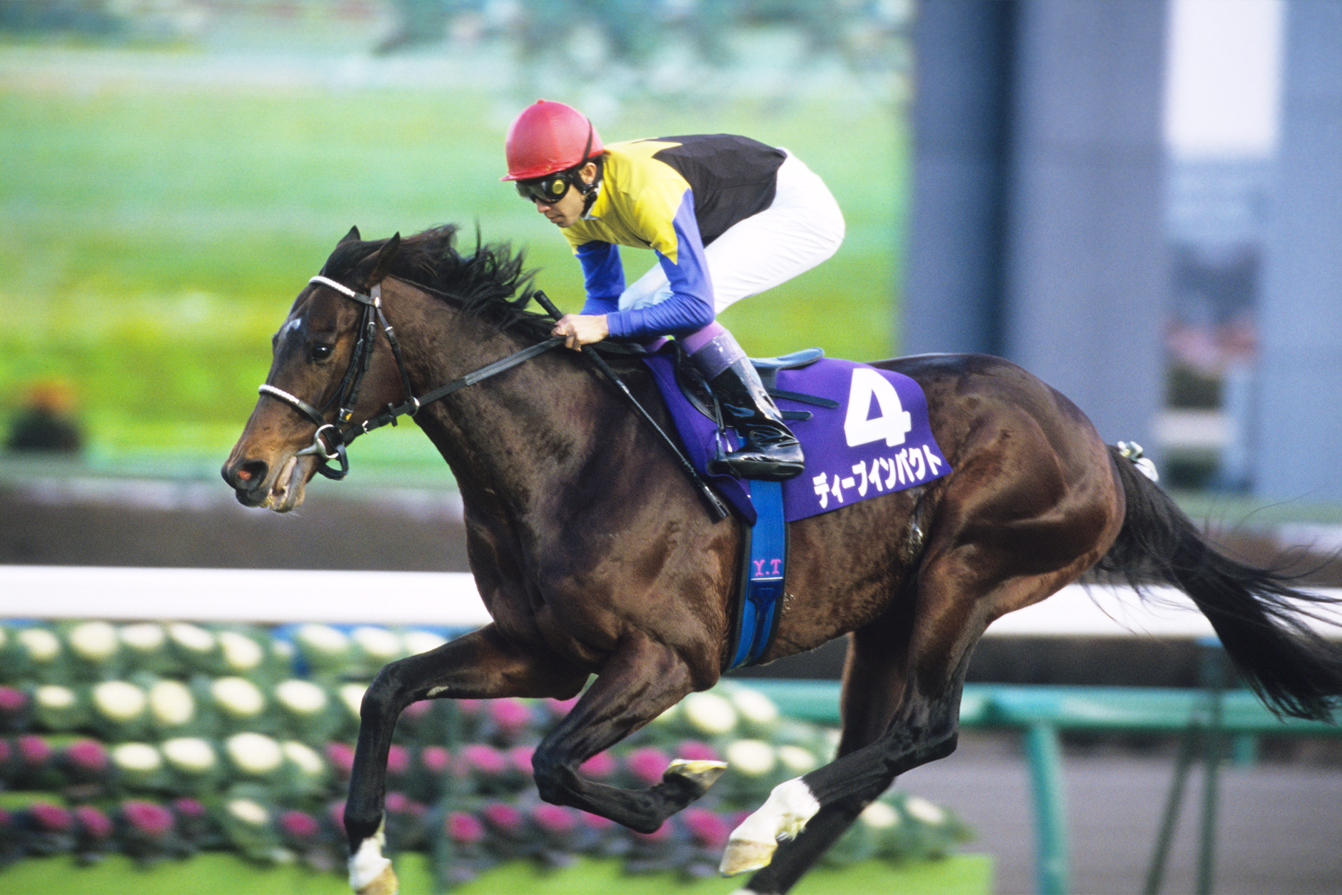 ディープインパクト｜3分でわかった気になる名馬 JRA