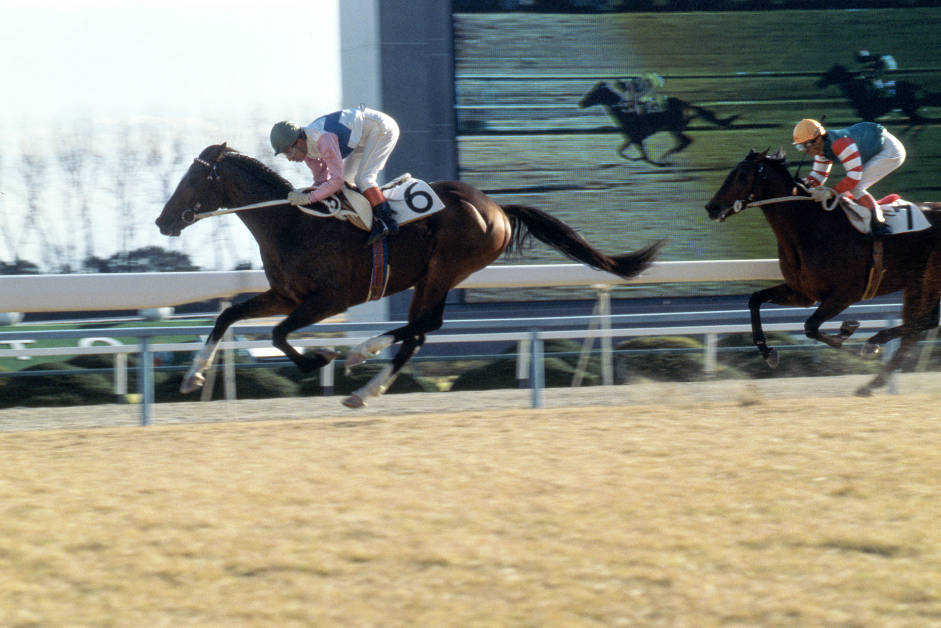 トウカイテイオー｜3分でわかった気になる名馬 JRA