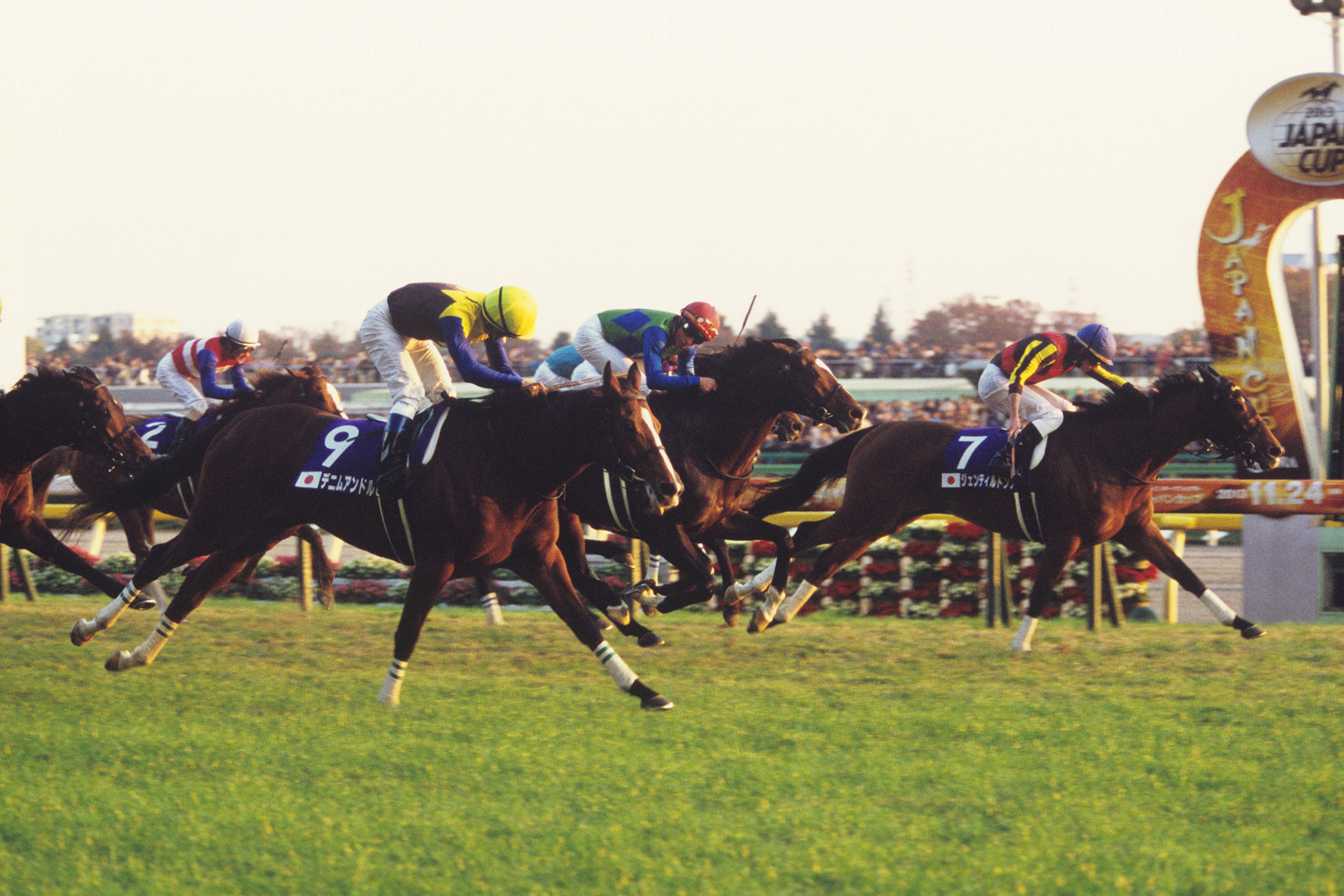 ジェンティルドンナ｜3分でわかった気になる名馬 JRA
