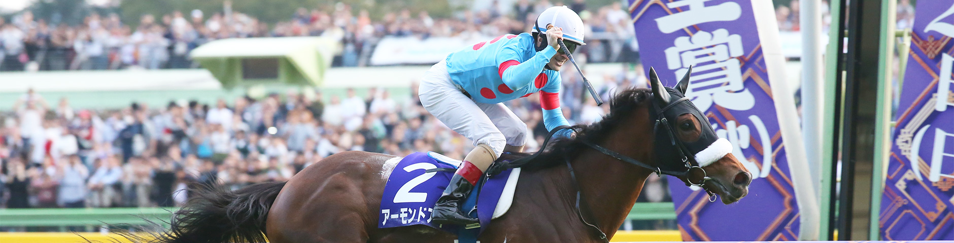 アーモンドアイ　競馬　競走馬　ジャージ　ブルゾン