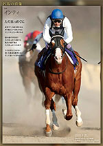 名馬の肖像 JRA