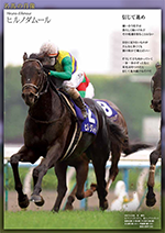名馬の肖像 JRA