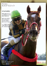名馬の肖像 JRA