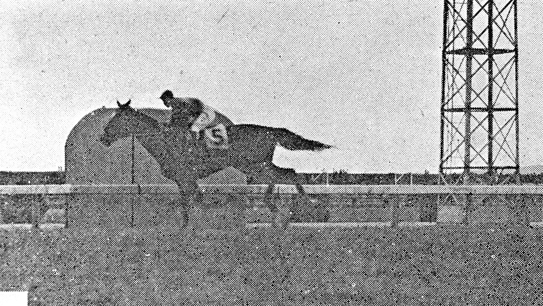 1943�N ��_�D�x�Ĕn