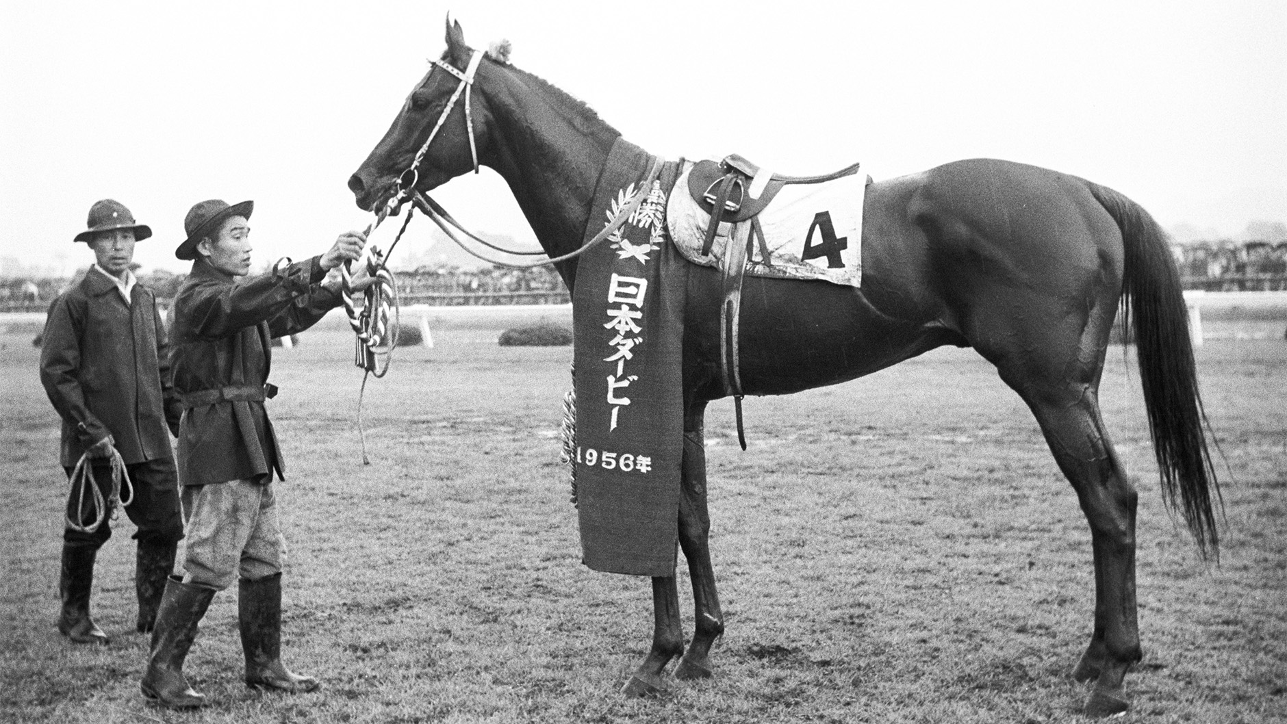 1956�N �����D�x