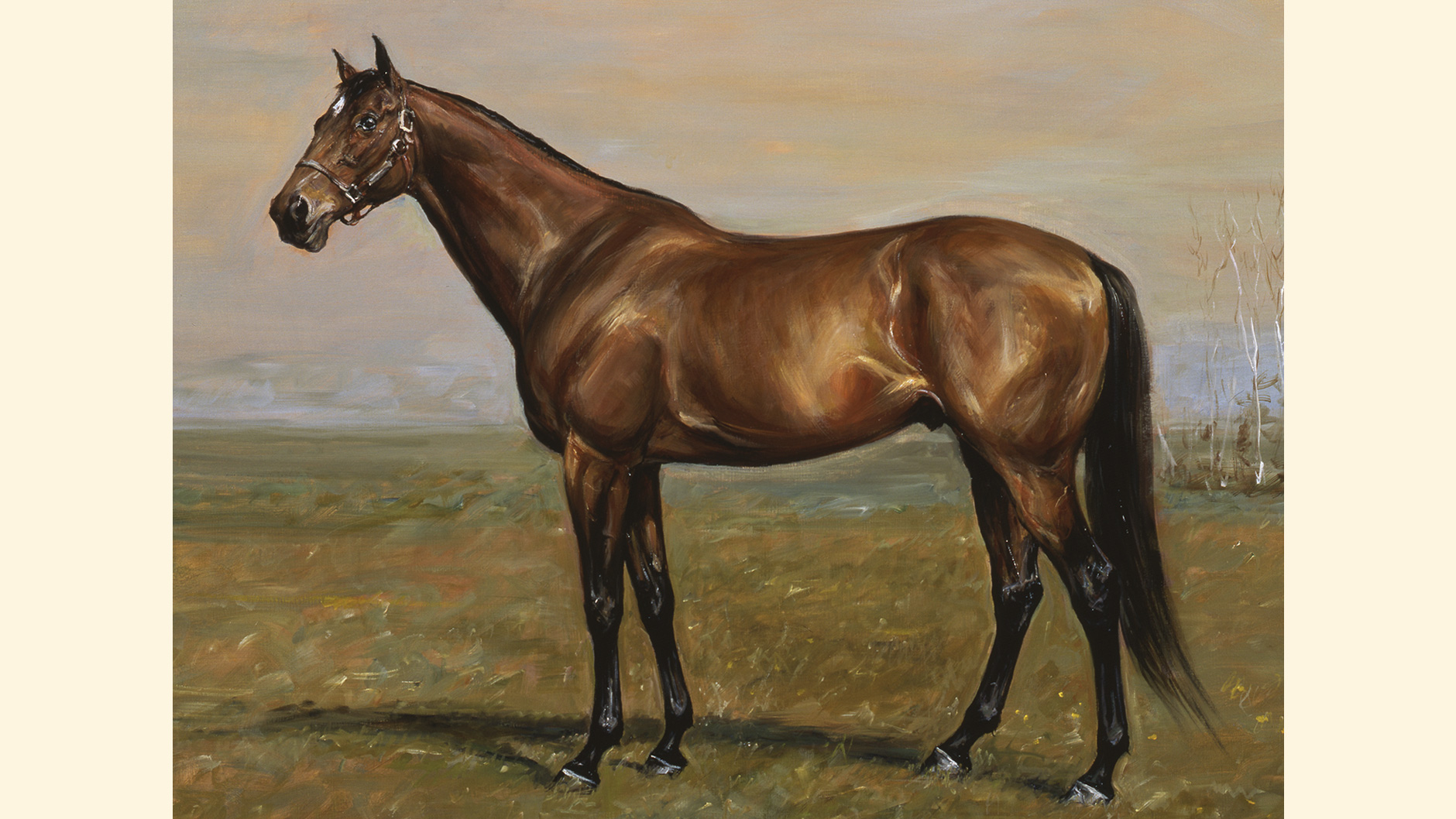 シンザン 昭和40年天皇賞 競馬パネル 日刊スポーツ シンザン 昭和40年