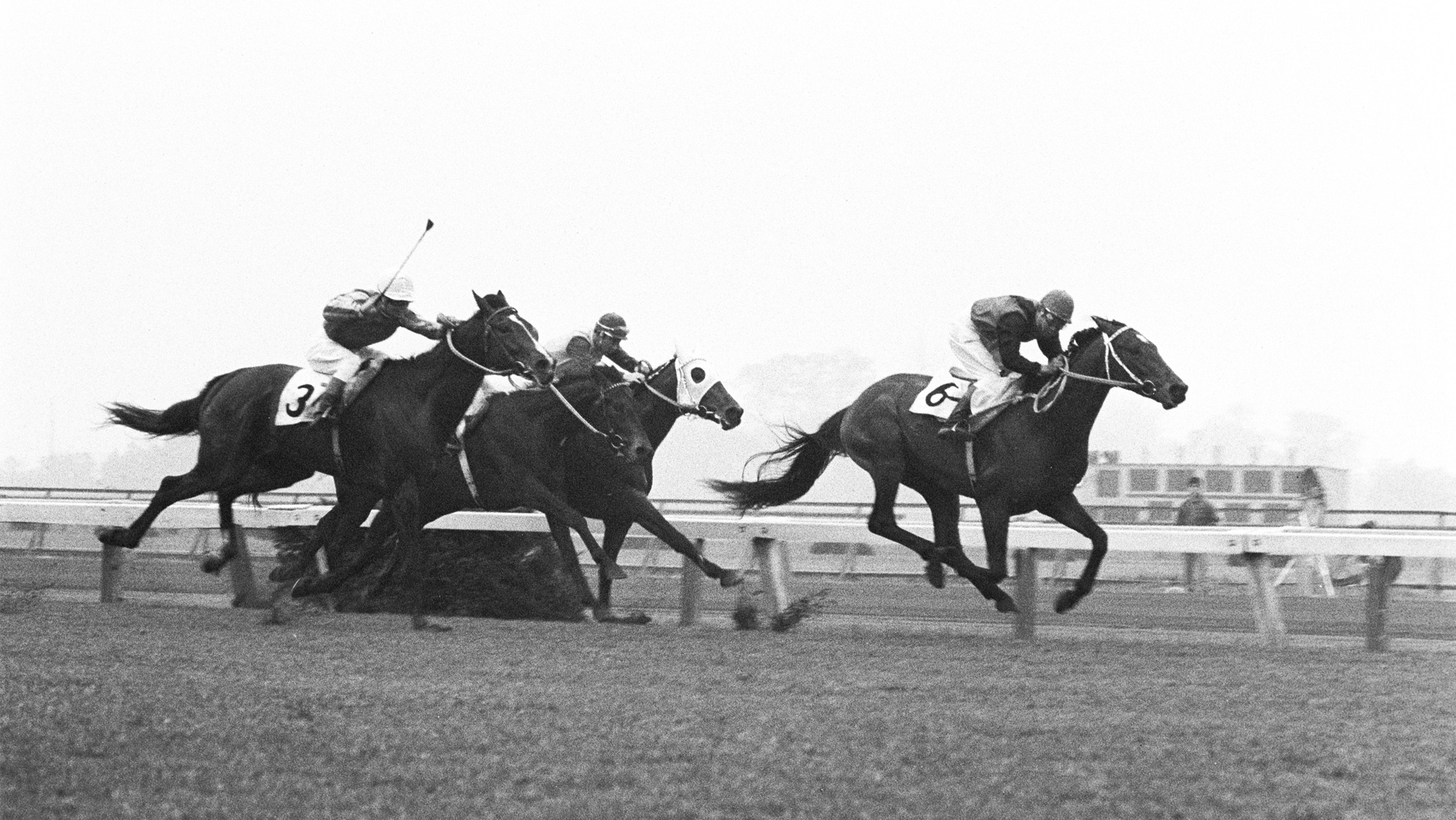 シンザン：競馬の殿堂 JRA