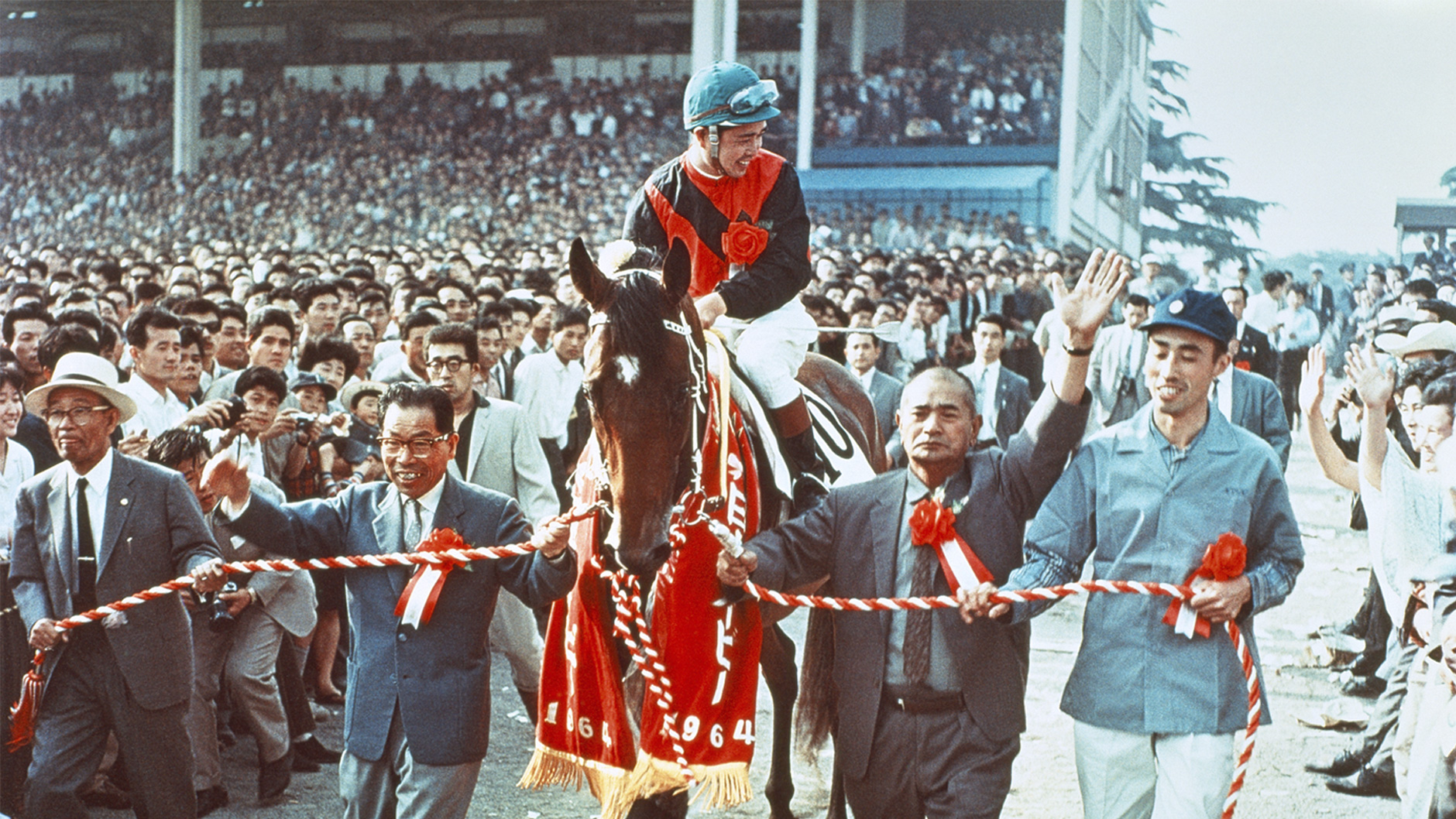 1964�N �����D�x