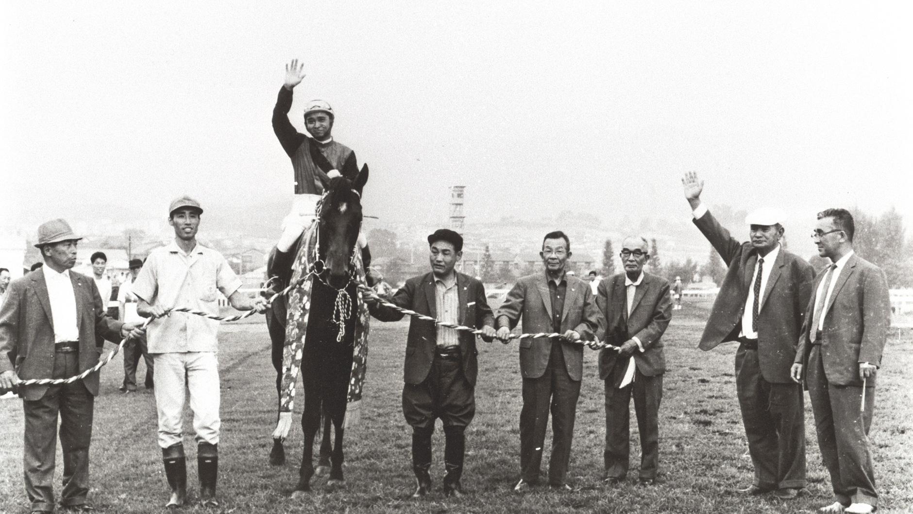 シンザン：競馬の殿堂 JRA