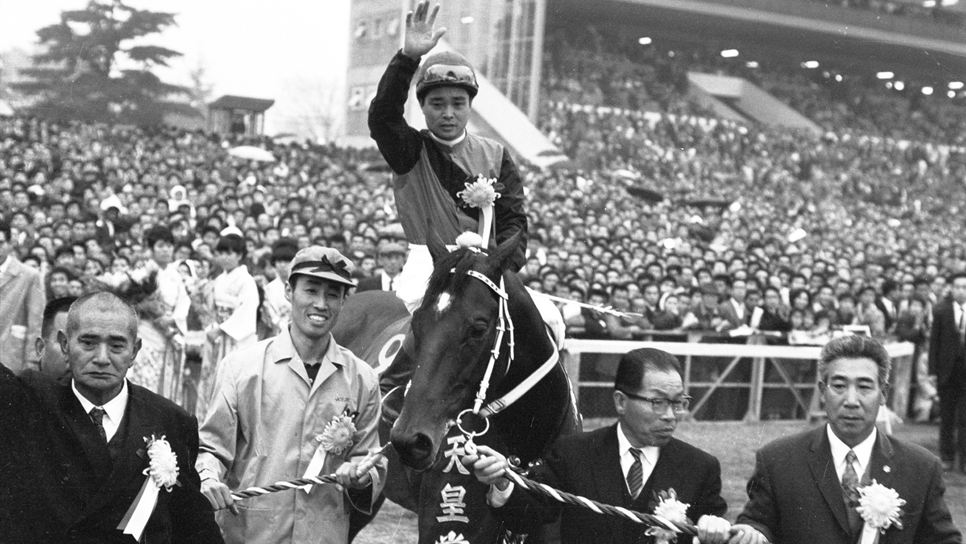 シンザン：競馬の殿堂 JRA