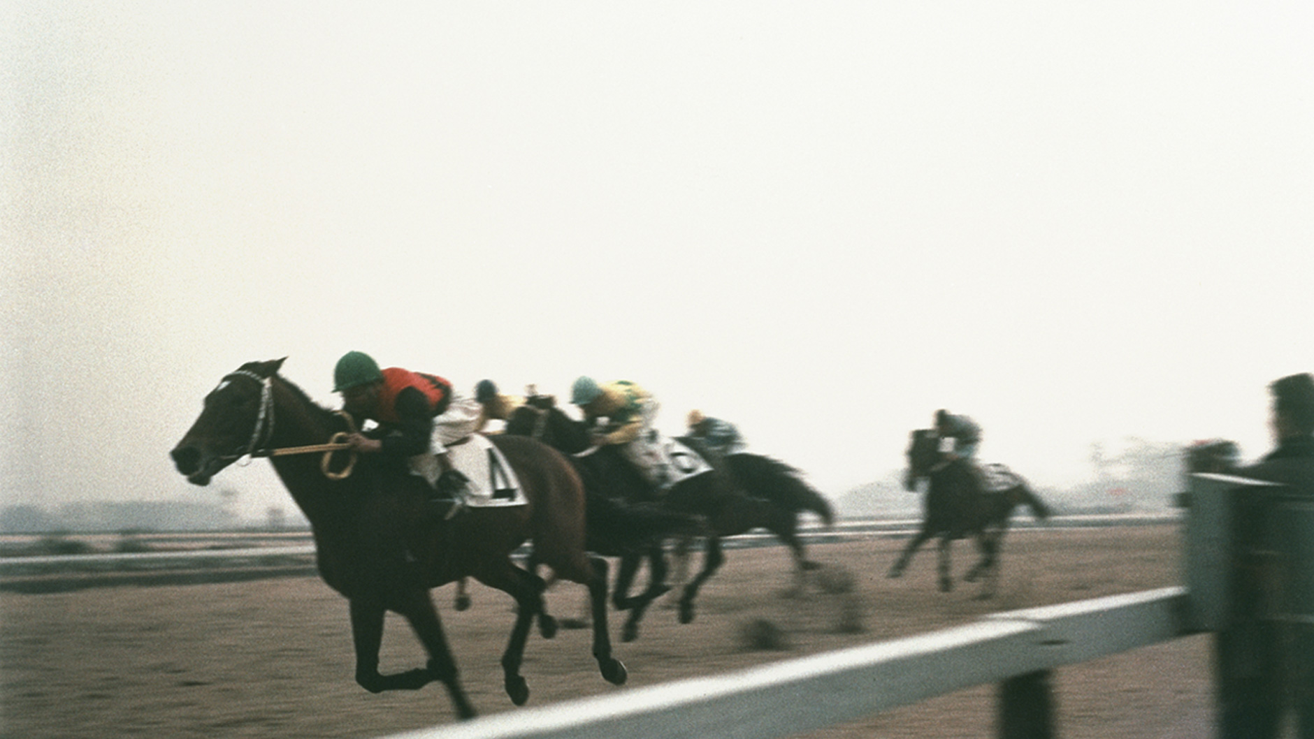 シンザン：競馬の殿堂 JRA