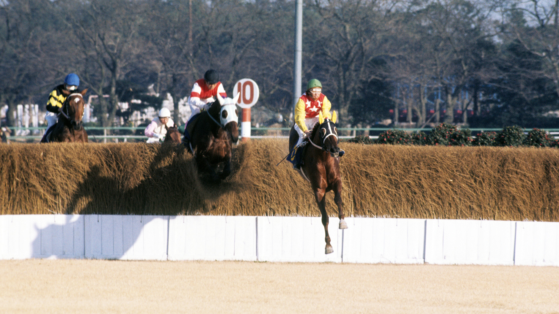 1974�N ���R���Q�i�H�j