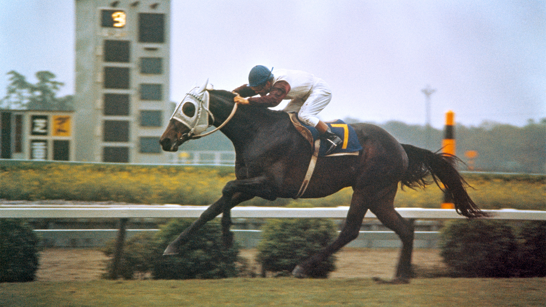 1973�N �H����