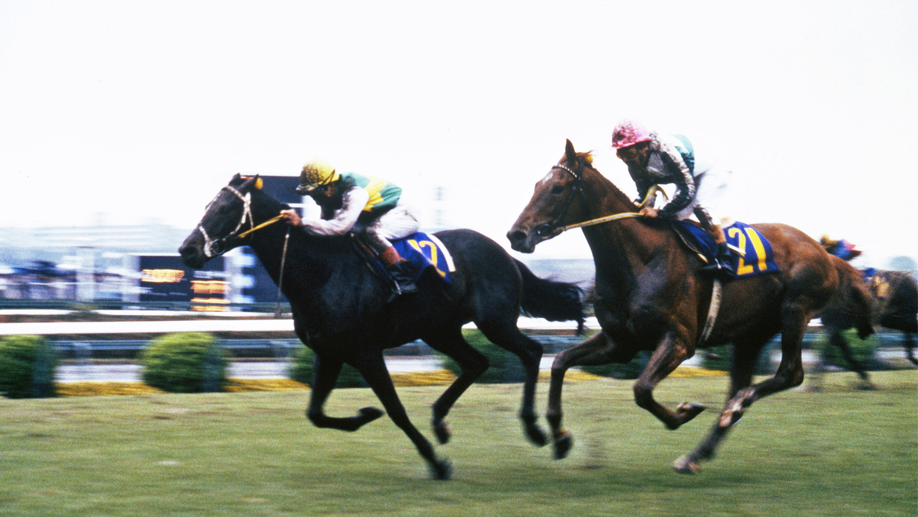 ミスターシービー：競馬の殿堂 JRA