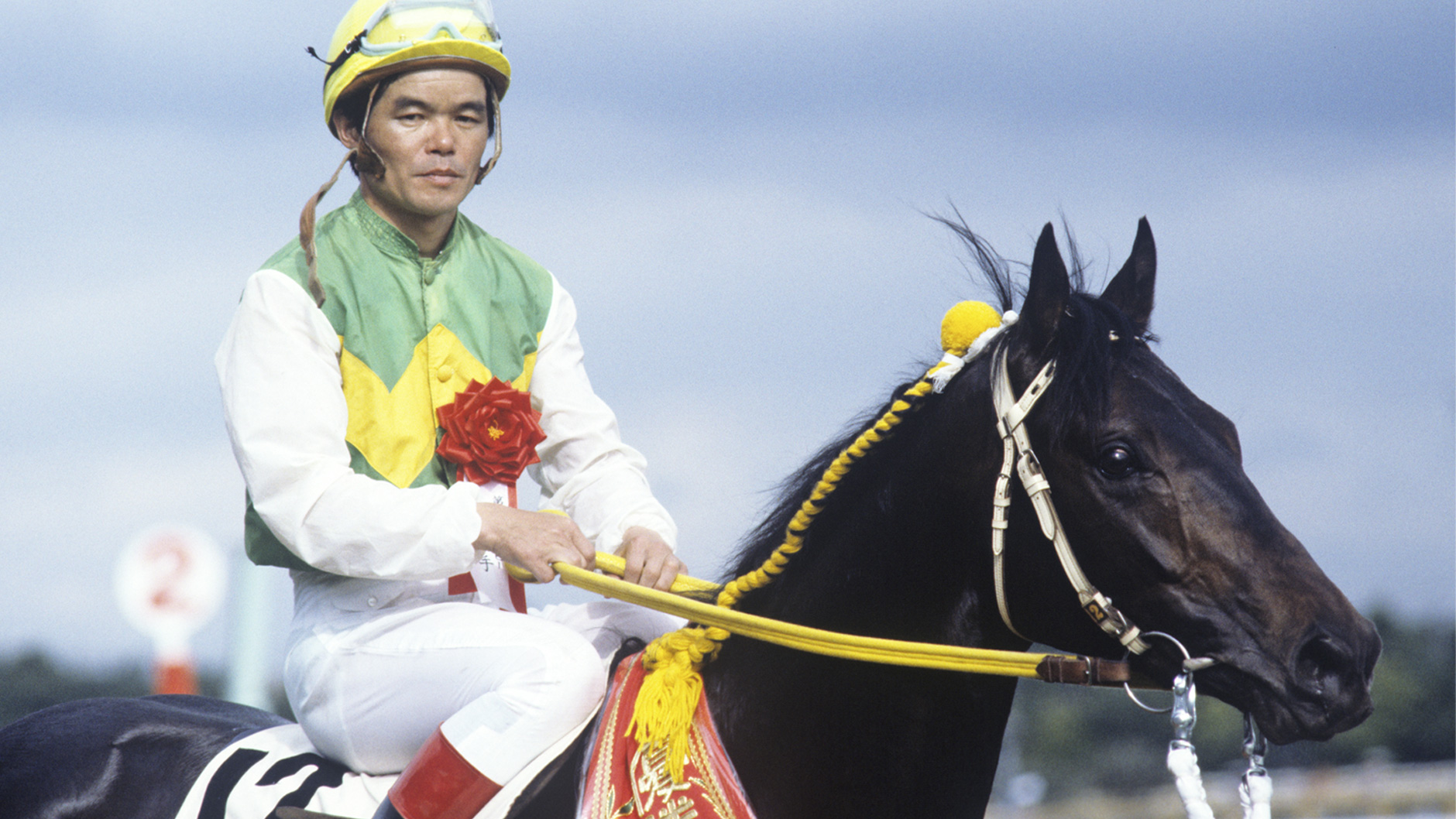 ミスターシービー：競馬の殿堂 JRA