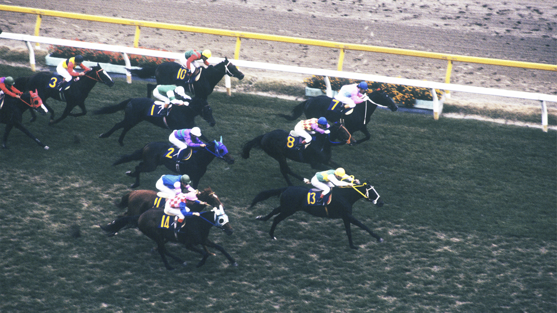 ミスターシービー：競馬の殿堂 JRA